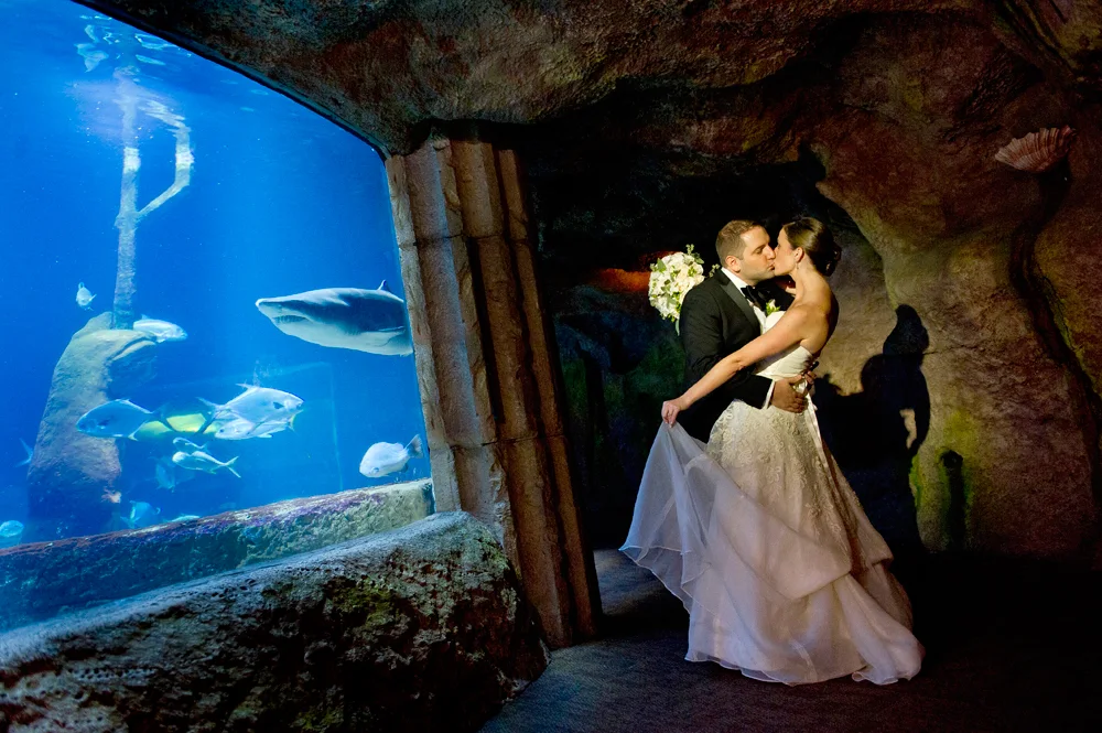 Atlantis Banquets &amp;amp; Events