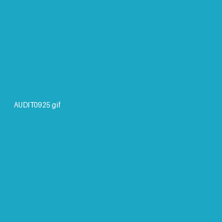 AUDITVENDOR0920B