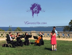 VSmusic4u-VSmusic4u