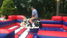 Mechanical Bull