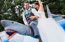 Mechanical Shark