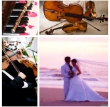 VSMUSIC4U