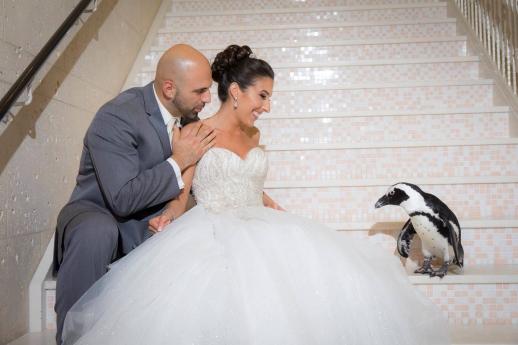 Atlantis Banquets & Events
