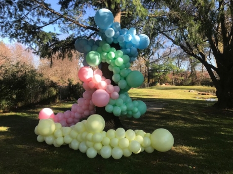 Balloon Bouquets of LI
