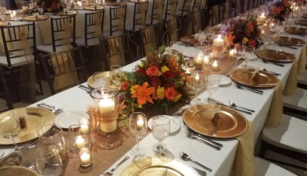Camelot Party Rentals