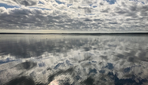 Eastern Bays Oyster Company
