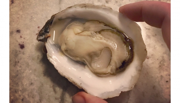 Eastern Bays Oyster Company