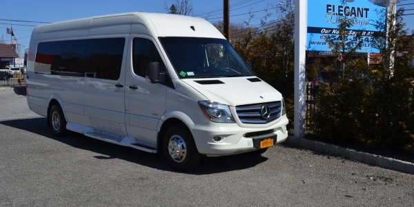 Elegant Limousine