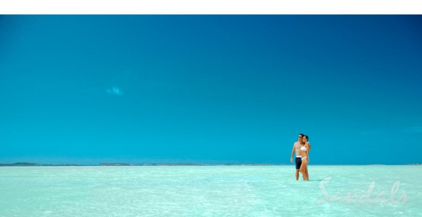 Island Shores Travel