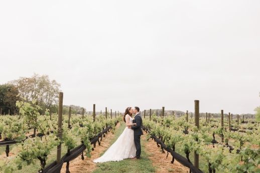 The Vineyards