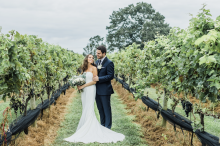 The Vineyards