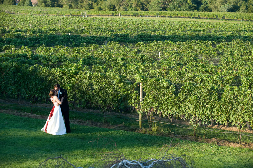 The Vineyards