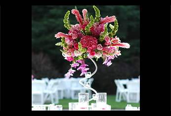 Bella Flowers