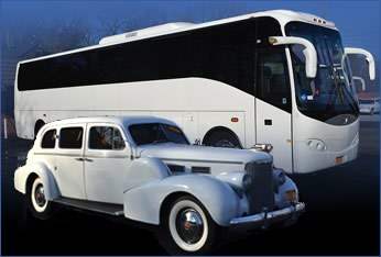 Elegant Limousine
