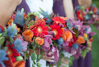 Floral Designs By Nina