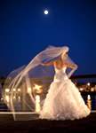 Amanda Picone Photography