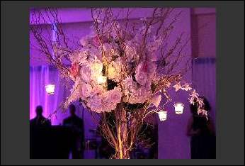 Stylish Events