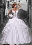 White Rose Bridal World
