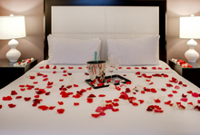 The Andrew Hotel